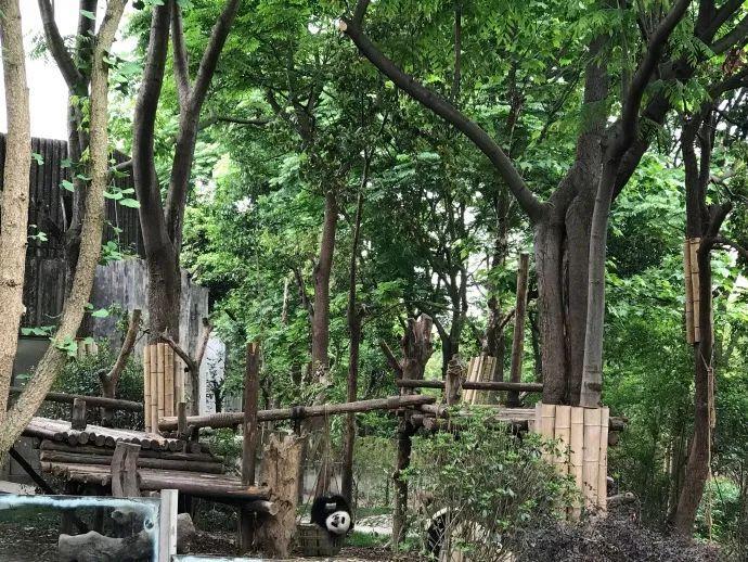 怎么吃主食不胖？研究称放冰箱后再加热就行…