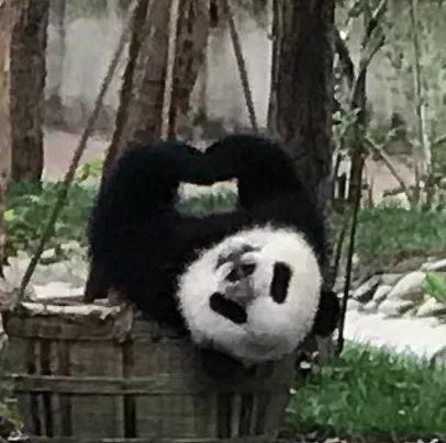 怎么吃主食不胖？研究称放冰箱后再加热就行…
