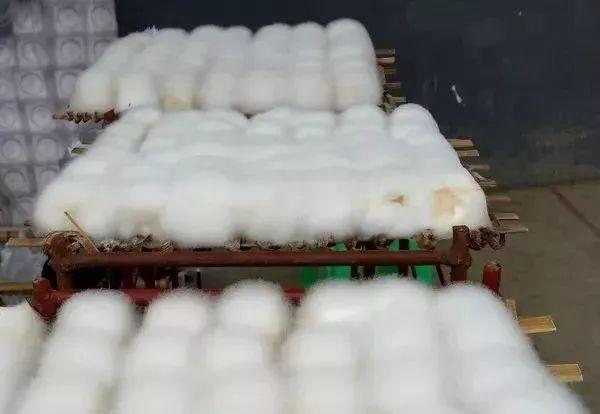 重磅！杭黄铁路静态验收，上海出发去黄山最快2小时！