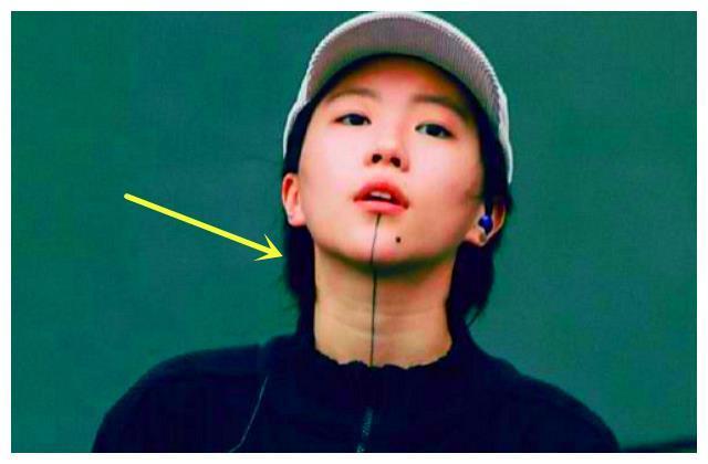 明星纹身有什么含义？胡歌一看就是孝子，他是纹了个小猪佩奇？