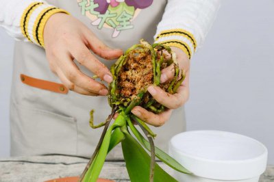 ​家里养盆“蝴蝶兰”，开的花赛得过牡丹，过年过节最应景！