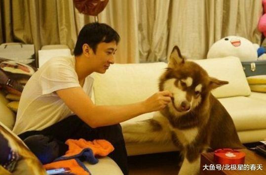 王思聪深夜晒“王可可”, 后面的女性用品亮了, 网友表示尺度太大
