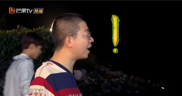 看不懂她边吃虾边放生的圣母人设了...