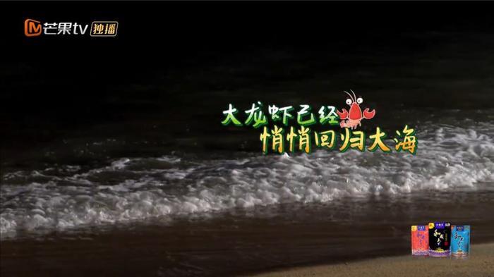 看不懂她边吃虾边放生的圣母人设了...