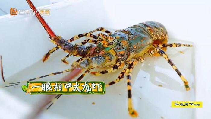 看不懂她边吃虾边放生的圣母人设了...