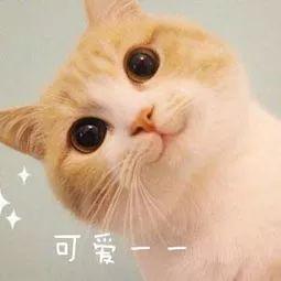 “青蛙趴”这样练，7天让你双腿细直，小腹也紧致了！