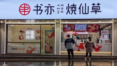 ​书亦烧仙草的掉队之路