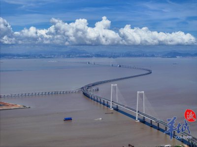 ​地图导航已显示！深中通道通车“走起”