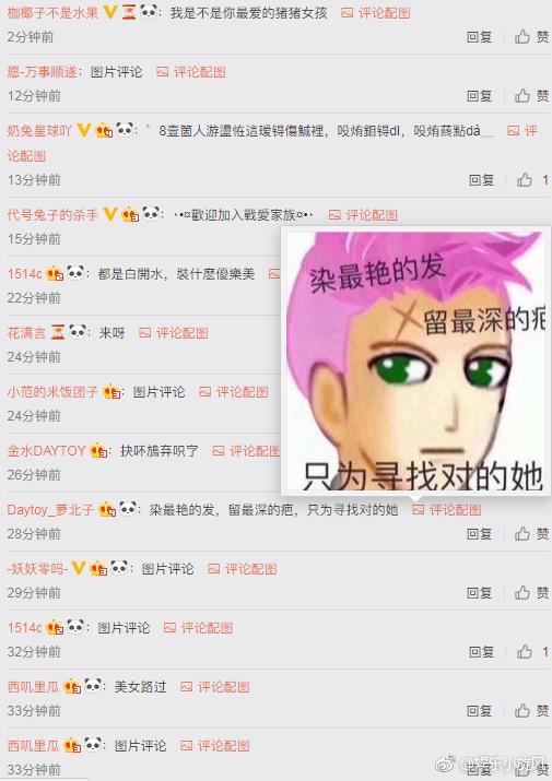 因肖战发的一张非主流图片，而导致大规模葬（战）爱家族出现