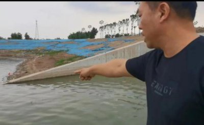 ​河南一湖中惊现多条小鳄鱼，专家：初步认定为暹罗鳄