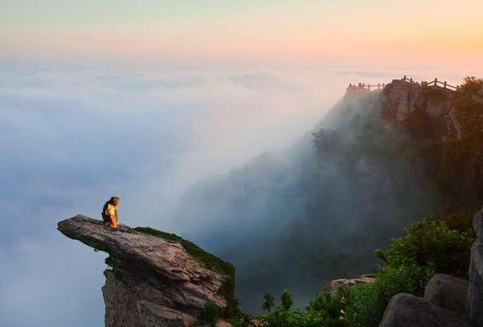 中国有两座花果山, 其中一座跟《西游记》有关, 你知道在哪吗