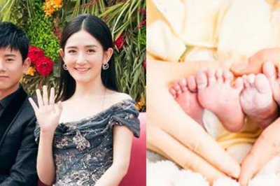 ​谢娜曝怀双胞胎女 圈内好友齐送祝福