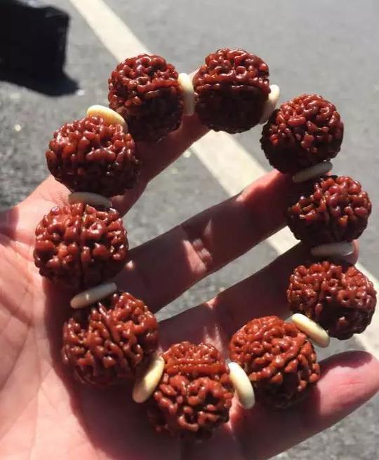 金刚菩提子到底几瓣的好，全齐了！