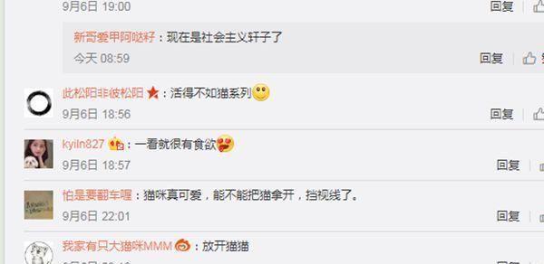 ASMR女主播轩子巨2兔，转型成功被称赞！网友那个定制的凉没