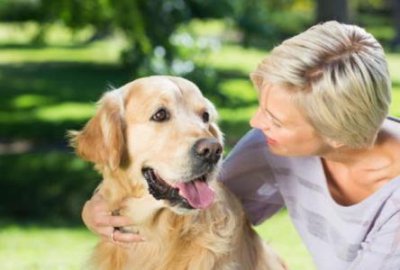 ​狗狗鼻子里有干硬的鼻屎狗狗鼻子里有脏东西