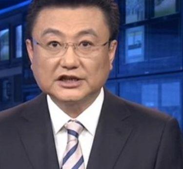 关于播音员王宁的信息