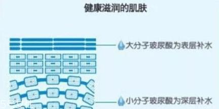 护肤品能进入基底层吗 护肤品能进入真皮层吗