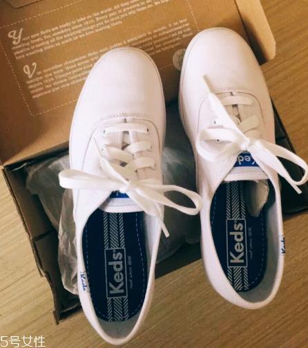 keds小白鞋多少钱？keds帆布鞋正品价位