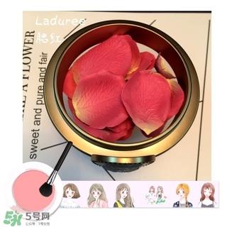 laduree拉杜丽5周年限定玫瑰腮红多少钱？