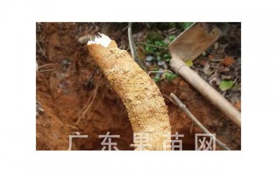 ​金牛座分手后会回头吗 金牛座分手后有复合的机会么