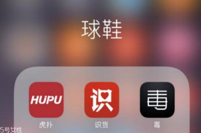 ​毒app鉴定id是什么 球鞋的鉴定凭证
