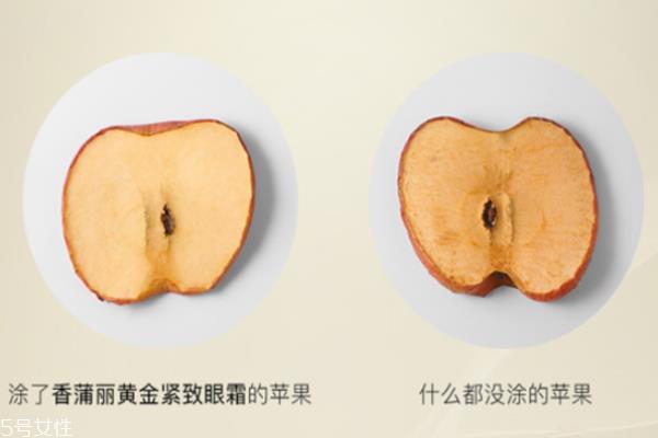 香蒲丽眼霜好用吗 香蒲丽眼霜适合年龄段