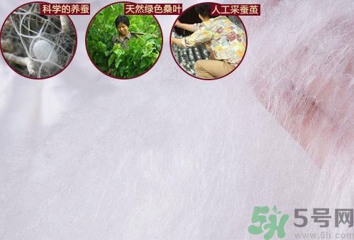 蚕丝被是不是冬暖夏凉?蚕丝被是冬暖夏凉吗?
