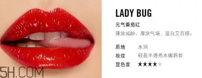 ​mac ladybug和ruby woo哪个好看_试色对比