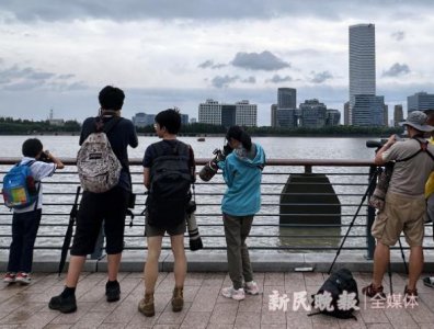 ​风雨过后，黄浦江边来了一群捉“妖怪”的人