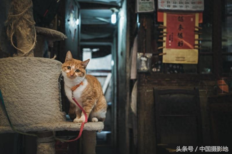 上海弄堂的“弄堂”二字，你真的会读吗？