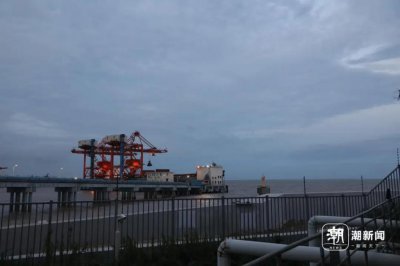 ​30多年没遇到过！浙江一发电厂遭“海蜇泛滥”：日夜奋战已抓21万斤