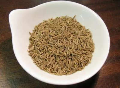 ​香辛料宝典丨葛缕子