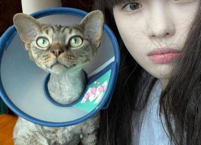 ​小孩百日宴贺词怎么说