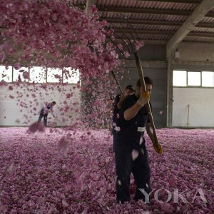 ​Fresh馥蕾诗中国官方购物网站正式上线