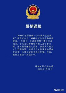 ​警方通报“河北男孩被狗围攻致死”：狗主人被刑拘