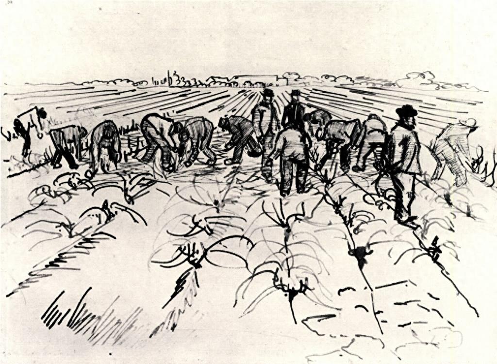 梵高：经典名画高清26幅