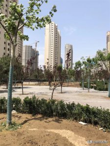 ​曾经风靡一时的北三县楼市，如今“房价”是多少？