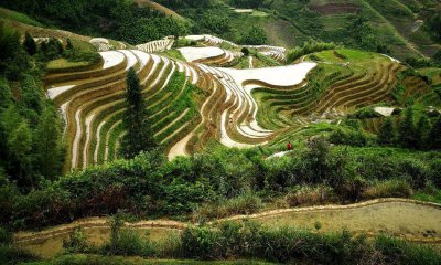 ​生态农场+农业观光旅游有市场前景吗？