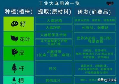 ​疯狂的工业大麻到底是个啥？