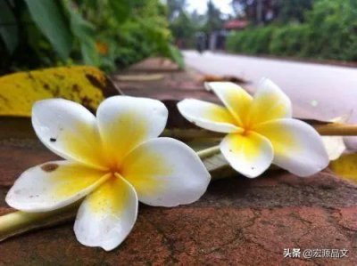 ​世界名著《基督山伯爵》中的经典语录，句句都是哲理！