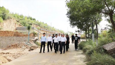 ​崔飞调研榆林市榆阳区乡村振兴工作