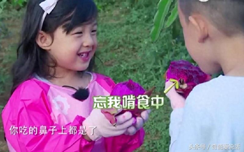 一夜成为网红果，Jasper带你大口吃火龙果