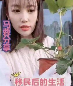 ​马蓉移民生活曝光，离婚后分得千万财产，新造型气质佳