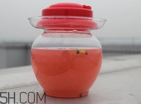 泡菜水能喝吗？泡菜水的制作方法