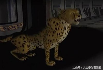 ​猛兽侠—黄豹勇士的四种形态野兽形态，你觉得哪种更帅？