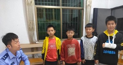 ​小学生意外发现中国最贵甲虫，价值百万惊人！