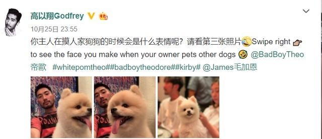 范玮琪和黑人是形婚吗（范玮琪黑人相爱17年）