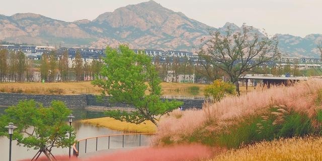 阿朵花屿小镇在哪里(阿朵花屿在藏马山哪里) 阿朵 花屿 第1张
