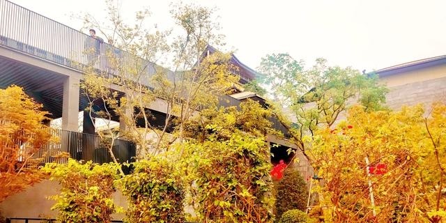 阿朵花屿小镇在哪里(阿朵花屿在藏马山哪里) 阿朵 花屿 第13张