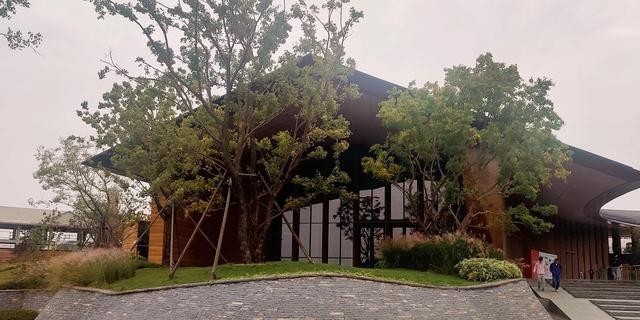 阿朵花屿小镇在哪里(阿朵花屿在藏马山哪里) 阿朵 花屿 第6张